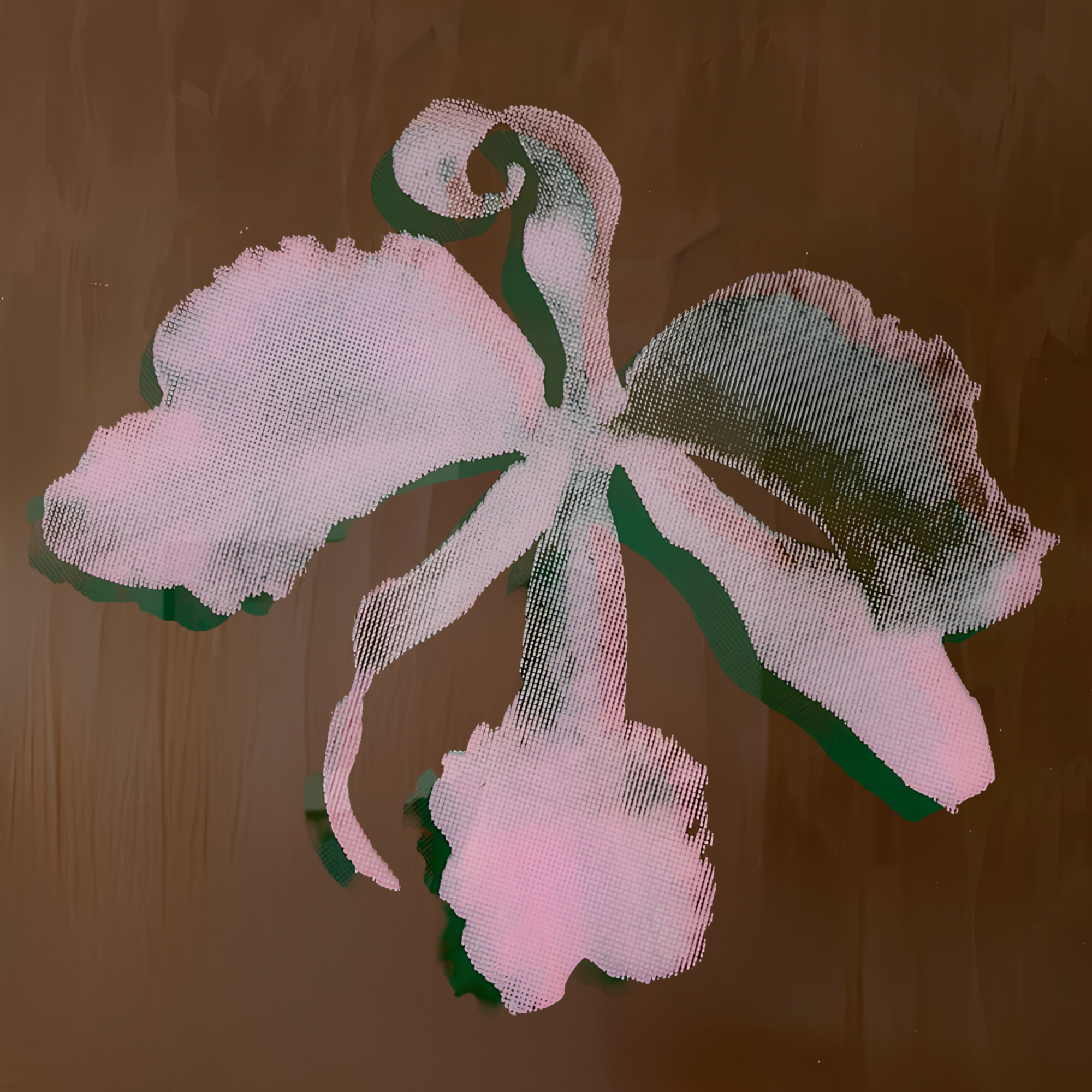 Orquídea y Diente de León · VII